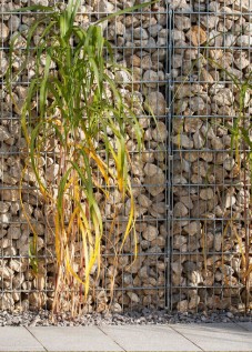 gabion