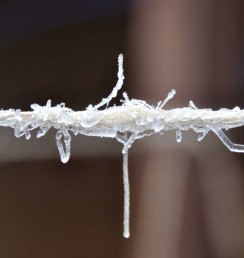 ice